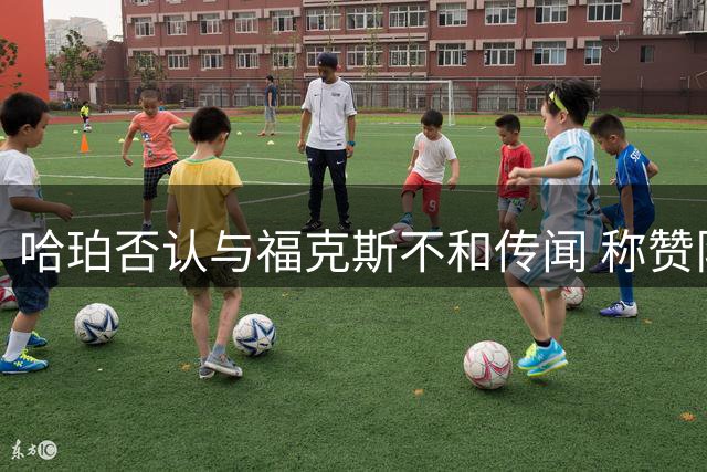 哈珀否认与福克斯不和传闻 称赞队友如师长般暖心