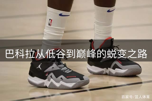 巴科拉从低谷到巅峰的蜕变之路
